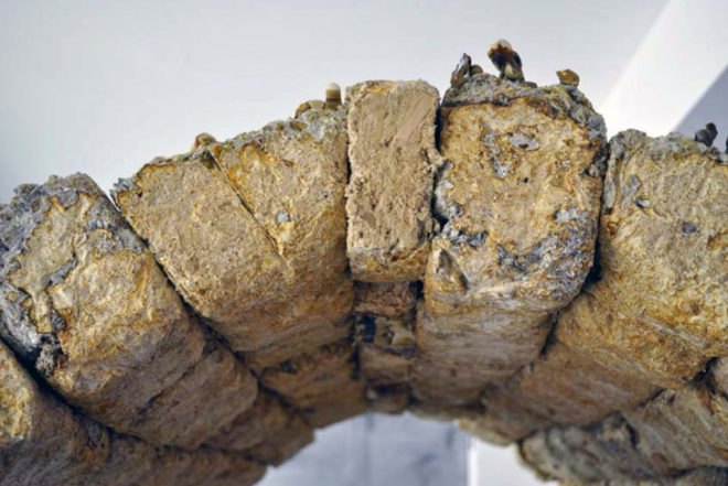 Philip Ross, mycelium, fungus furniture, Phil Ross, mushroom, mycelium building material