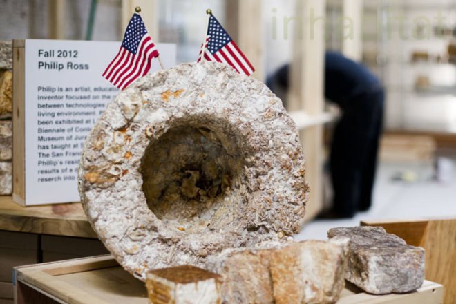 Philip Ross, mycelium, fungus furniture, Phil Ross, mushroom, mycelium building material