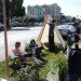 Alite Designs, Curiosity Shoppe, CCA, san francisco, park(ing) day, parking day, pop-up park, public space, urban design, green design, sustainable design, gardening, parking meter park, parklet, rebar studio, public art, urban intervention