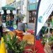 sf environment, san francisco, park(ing) day, parking day, pop-up park, public space, urban design, green design, sustainable design, gardening, parking meter park, parklet, rebar studio, public art, urban intervention, art
