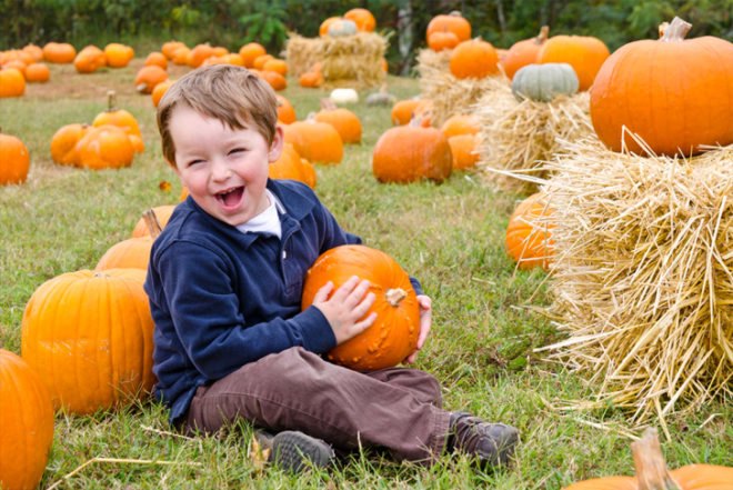 Pumpkin Picking, Decker Farm, fall activities nyc, fall festivals, fall foliage, fall food, fall fun, fall in new york, fall in new york city, things to do nyc, green nyc,