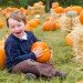 Pumpkin Picking, Decker Farm, fall activities nyc, fall festivals, fall foliage, fall food, fall fun, fall in new york, fall in new york city, things to do nyc, green nyc,