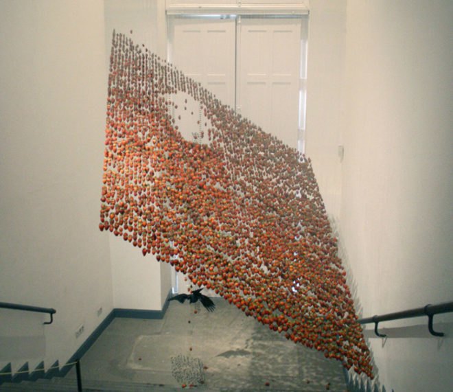 claire morgan, installations, taxidermy, galerie karsten greve, down time
