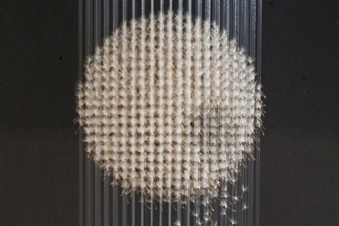 claire morgan, installations, taxidermy, quietus, galerie karsten greve, folly