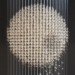 claire morgan, installations, taxidermy, quietus, galerie karsten greve, folly
