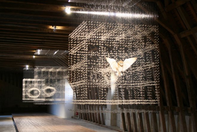 claire morgan, installations, taxidermy, quietus, galerie karsten greve, here is the end of all things