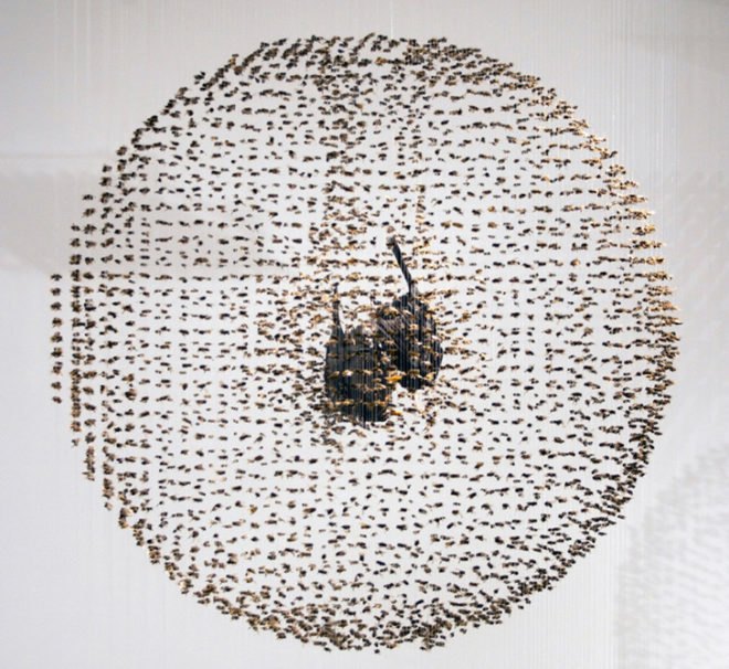 claire morgan, installations, taxidermy, quietus, galerie karsten greve, the birds and the bees