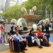 bryant park, bryant park sheep, campaign for wool, sheep, sheep bryant park, wool, wool event, yarn