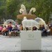 bryant park, bryant park sheep, campaign for wool, sheep, sheep bryant park, wool, wool event, yarn