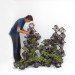 tumbleweed, tetrahedron, plants, jean jaques hubert, h20 architectes, compagnie, cultivated furniture, assembly