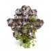 tumbleweed, tetrahedron, plants, jean jaques hubert, h20 architectes, compagnie, cultivated furniture, living installation