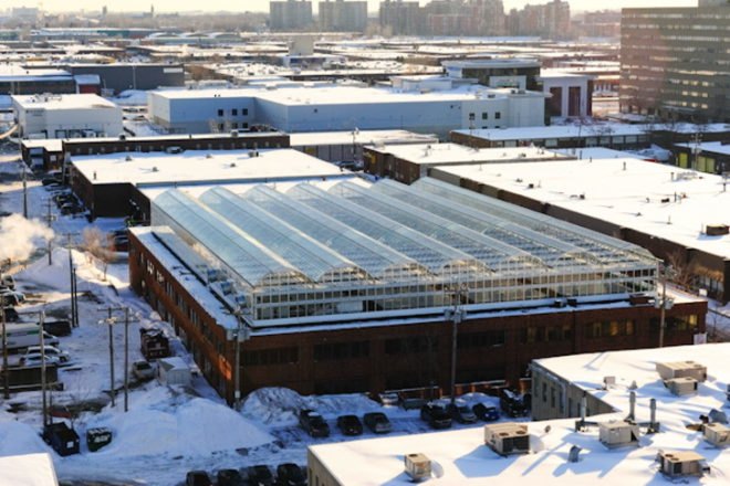 Montreal, Lufa Farms, rooftop greenhouse, urban agriculture, commercial venture, vegetables, natural, hydroponics, rainwater harvesting, energy efficient