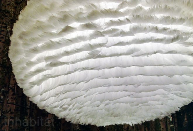 vita, Denmark, lamps, flat pack lighting, London Design Festival, 2012, Scandinavian, biomimicry, DIY, sustainable design, 100% design, green design, green lighting