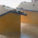 Wall of Wind, WOW, Florida International University, hurricane winds, wall of fans, hurricane simulator