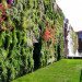 green design, eco design, sustainable design, Vertical garden, living wall, Il Fiordaliso, world's largest living wall, Francesco Bollani, pAtrick Blanc