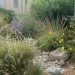 Santa Monica, urban landscape, garden / garden, sustainable, conventional, water harvesting, native plants, pervious pathway, rainwater run-off, water efficiency, sustainable design, green design, green landscaping, sustainable landscaping