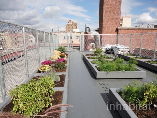 green design, eco design, sustainable design, Fifth Street Farm, rooftop farm NYC, Scott Stringer, Michael Arad, rooftop classroom, East Village roof garden
