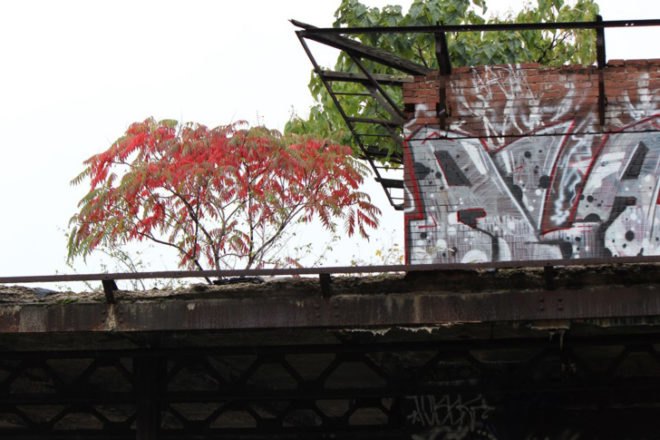 green design, eco design, sustainable design, Philadelphia, High Line Park, Philadelphia elevated park, Above Below Beyond: Futures for a Former Railroad, Reading Viaduct, VIADUCTgreen, abandoned Reading Railroad