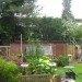 Amsterdam, Garden Studio, CC-Studio, watergraasfmeer, green roof, sedum, mirrors, eco studio