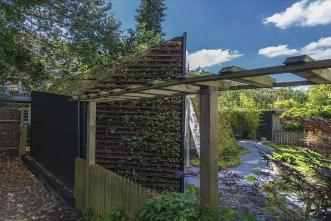 Amsterdam, Garden Studio, CC-Studio, watergraasfmeer, green roof, sedum, mirrors, eco studio