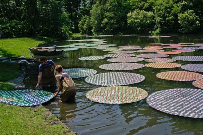 bruce munro, artist, waterlily, victoria lily, longwood gardens, light, pennsylvania, cd's