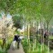 Bloomingdale Trail, Michael Van Valkenburgh Associates, chicago, elevated rail park, elevated trail park, urban park, urban design