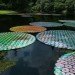 bruce munro, artist, waterlily, victoria lily, longwood gardens, light, pennsylvania, cd's
