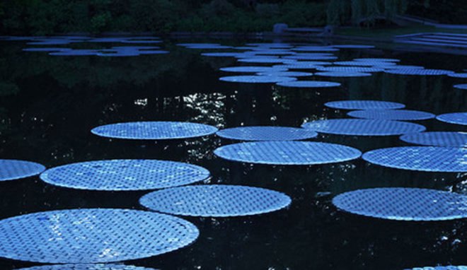 bruce munro, artist, waterlily, victoria lily, longwood gardens, light, pennsylvania, cd's