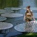 bruce munro, artist, waterlily, victoria lily, longwood gardens, light, pennsylvania, cd's