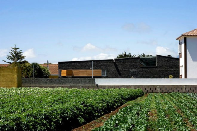 CaPaco, Equipo Olivares, tenerife, spain, green roof, basalt, eco home, green home