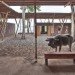 Cassia Co-op Training Centre, TYIN Tegnestue, cinnamon, humanitarian design, sumatra, earthquake resistant, local materials, training centre