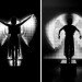 green design, eco design, sustainable design, LED sculpture, Victoria and Albert Museum, Cinimod Studio, Ice Angel, interactive LED installation, Angel WIngs