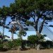 Cocoon Tree houses, Berni Du Payrat, suspended houses, treehouses, sustainable living, lightweight houses, spherical building, small green houses