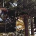 Cocoon Tree houses, Berni Du Payrat, suspended houses, treehouses, sustainable living, lightweight houses, spherical building, small green houses