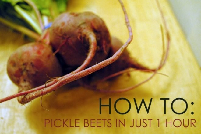 DIY, recipe, beets, pickle, fall, organic, how-to, seasonal, fall activities, fall how-to, pickling at home, how to pickle root vegetables, hot to pickle vegetables