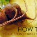 DIY, recipe, beets, pickle, fall, organic, how-to, seasonal, fall activities, fall how-to, pickling at home, how to pickle root vegetables, hot to pickle vegetables