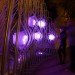 Datagrove Installation, Future Cities Lab, interactive art installation, motion sensors, LED fibers, digital fabrication, ZERO1 Biennial
