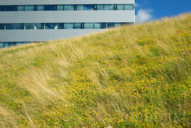 Ana Lisa Alperovich, Herman Hertzberger, Waternet, green roof, recycled water, Amsterdam, the netherlands, stilts, double tower, bridge, social space, open workplaces, natural light, Architecture, Daylighting, Water Issues