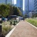 Klyde Warren Park, Dallas, Office of James Burnett, Jim Burnett, urban parks, Dallas park