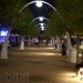 Klyde Warren Park, Dallas, Office of James Burnett, Jim Burnett, urban parks, Dallas park
