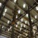 Liter of Light, Shanghai Biennale, Low-cost housing, recycled bottle bulbs, slum housing, informal housing, social housing, green design, sustainable design, eco-design, Touching the Earth Lightly, Stephen Lamb