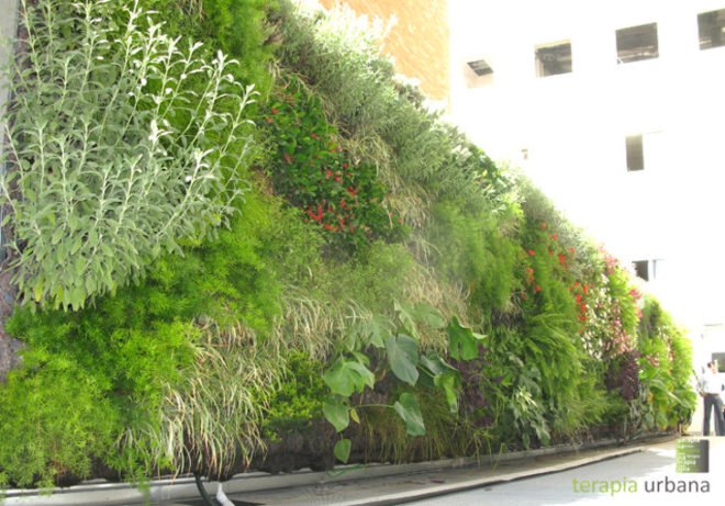 vertical garden, green wall, terapibna urbana, urban gardening, seville italty, university of seville