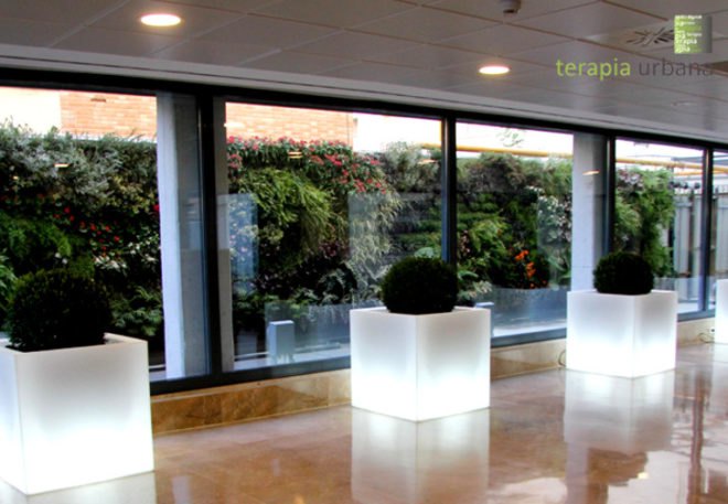 vertical garden, green wall, terapibna urbana, urban gardening, seville italty, university of seville