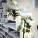 Marina Lofts, BIG, ft. lauderdale, residential development, new river, tree preservation, hanging gardens