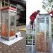 green design, eco design, sustainable design, phone booth fish tank, converted phone booth, Kingyobu, Osaka, recycle art, public fish tank