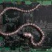 green design, eco design, sustainable design, Peter McFarlane, recycled circuit boards, circuit board fossils, circuit board art, recycle art, eco art, recycled materials