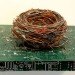 green design, eco design, sustainable design, Peter McFarlane, recycled circuit boards, circuit board fossils, circuit board art, recycle art, eco art, recycled materials