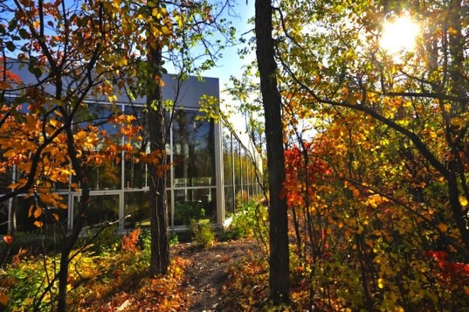 Number TEN, Number TEN Architectural, green roof, grass roof, vegetal roof, diseased elm, Assiboine Park, Winnipeg, Canada, local materials, family center, children center