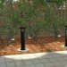 Reliance Foundry, outdoor solar-powered lighting, LED pathway bollards, Solar powered bollards, solar powered path lights, solar powered outdoor lights, solar powered street lamps, Solar power, outdoor LED lighting, pathway, outdoor, technology, Bollard