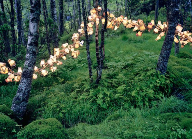 Rune Guneriussen, temporary installation, green art, sustainable artwork, nature art, everyday objects, recycled materials, repurposed objects, sustainable design, green design, light installation, land art